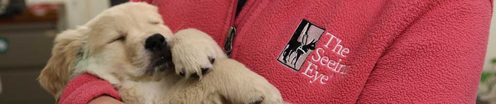 puppy sleeping in a staff of Seeing Eye dog's arms