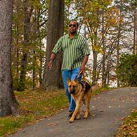 Visually impaired man walking with his seeing eye dog in the park