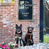 Two seeing eye dogs sitting in front of the gate of The Seeing Eye dog entrance and the sign