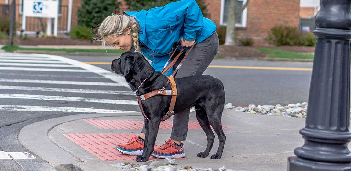 seeing eye dog with a trainer