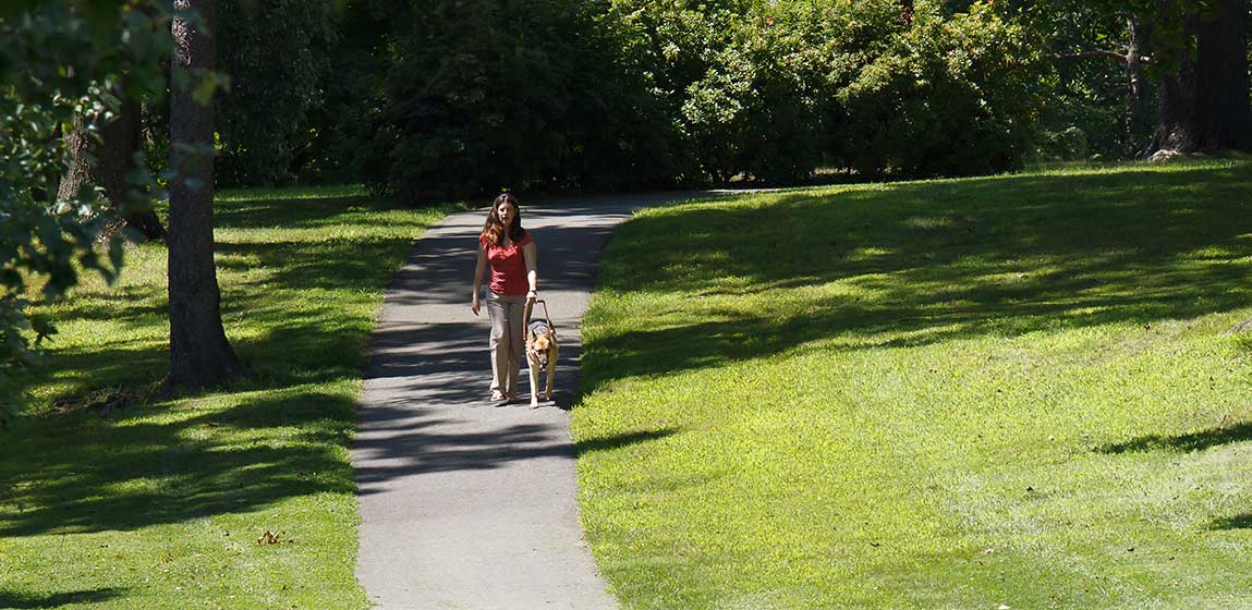 visually impaired woman walking in a park with her seeing eye dog