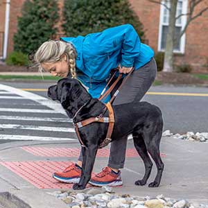 seeing eye dog with a trainer